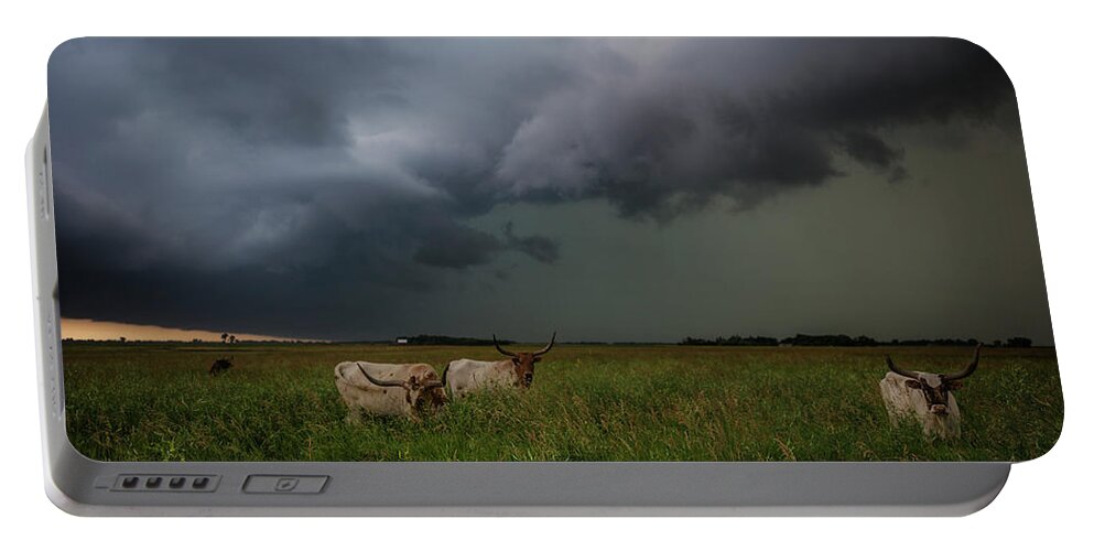 Horns Portable Battery Charger featuring the photograph Horns by Aaron J Groen