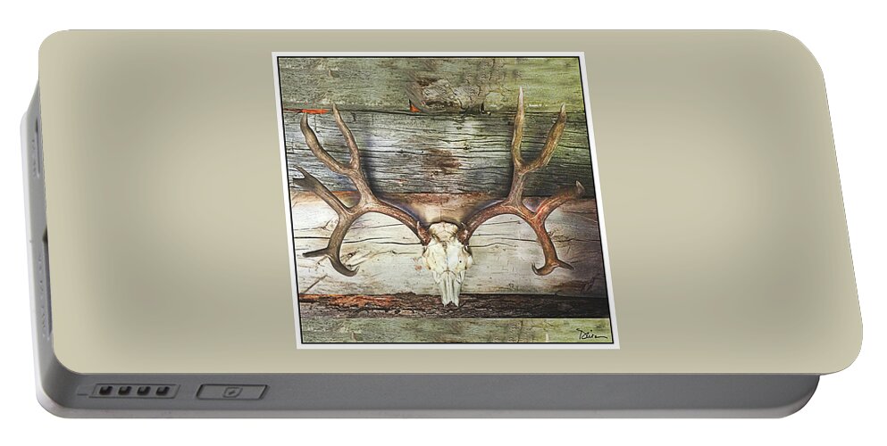 Skull Portable Battery Charger featuring the photograph Horns by Peggy Dietz