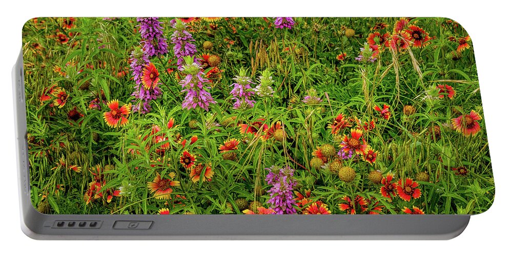 Texas Wildflowers Portable Battery Charger featuring the photograph Horsemint And Indian Blankets by Johnny Boyd