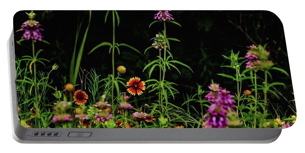 Texas Wildflowers Portable Battery Charger featuring the photograph Horsemint Tall II by Johnny Boyd