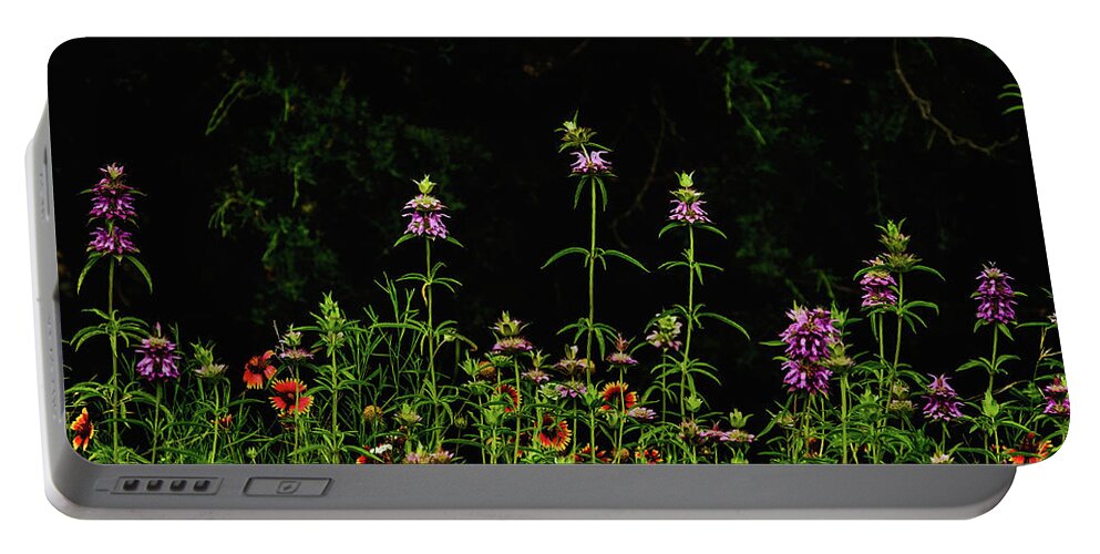Texas Wildflowers Portable Battery Charger featuring the photograph Horsemint Tall by Johnny Boyd