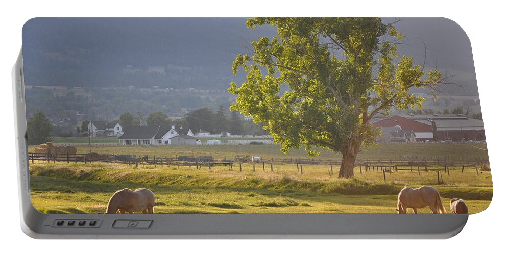 Horses Portable Battery Charger featuring the photograph Horses Grazing by Mike Helland