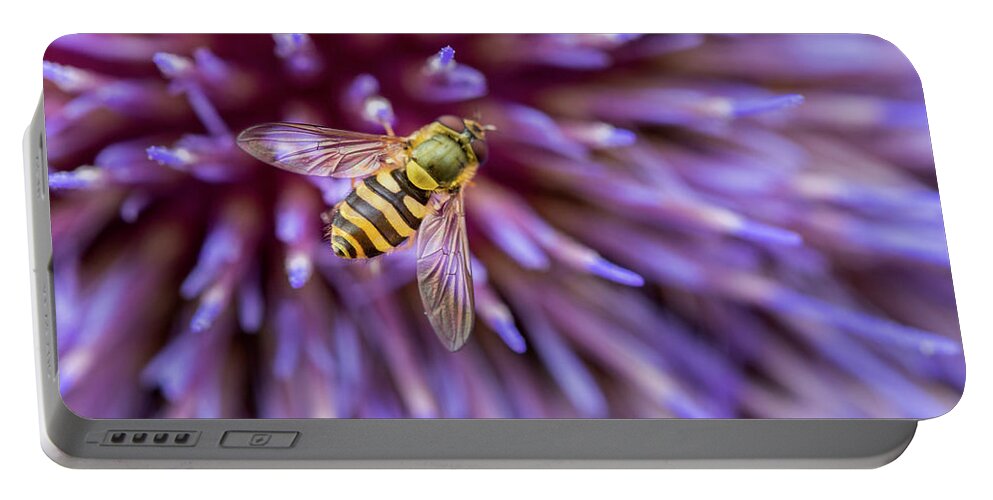 Macro Portable Battery Charger featuring the photograph Hoverfly Resting on a Giant Purple Thistle by Anita Nicholson