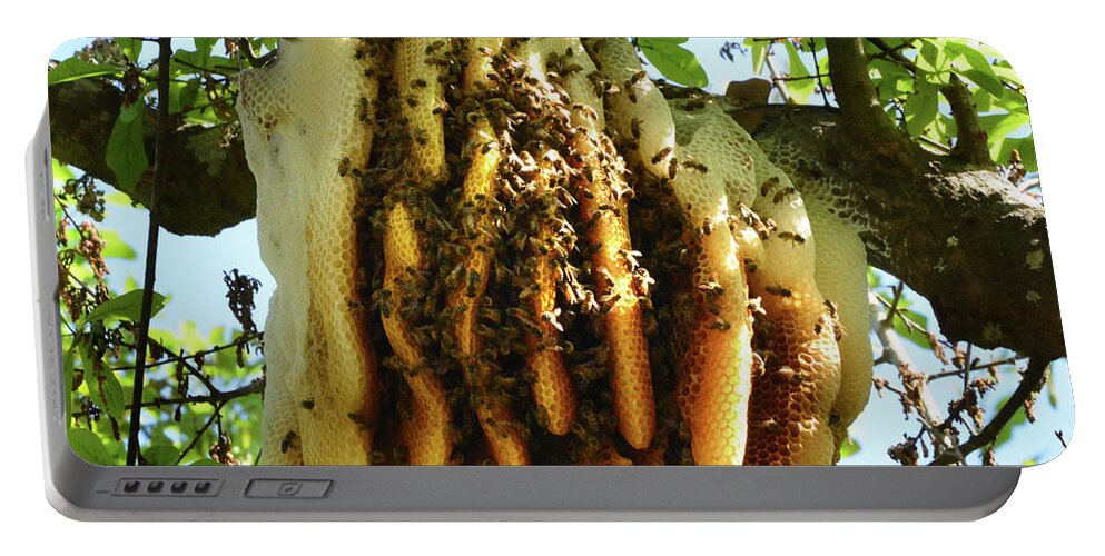Honey Bee Portable Battery Charger featuring the photograph Huge Bee's Nest by Jerry Griffin