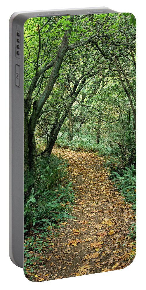 Autumn Portable Battery Charger featuring the photograph Humbug Mountain Trail by Robert Potts