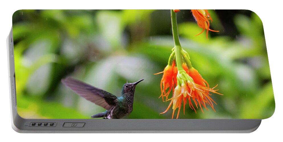 Costa Rica Portable Battery Charger featuring the photograph Hummer in Flight by Patrick Nowotny