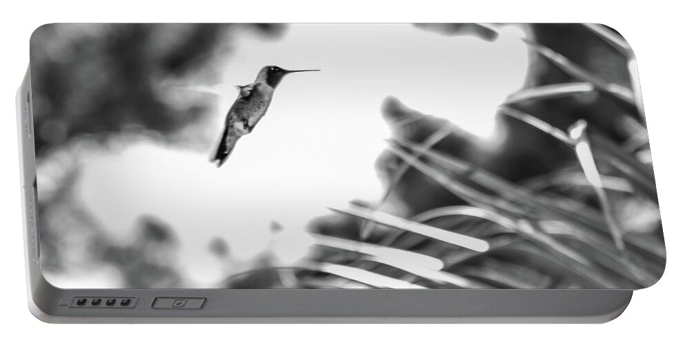 Photograph Portable Battery Charger featuring the photograph Humminbird in Black and White by Kelly Thackeray