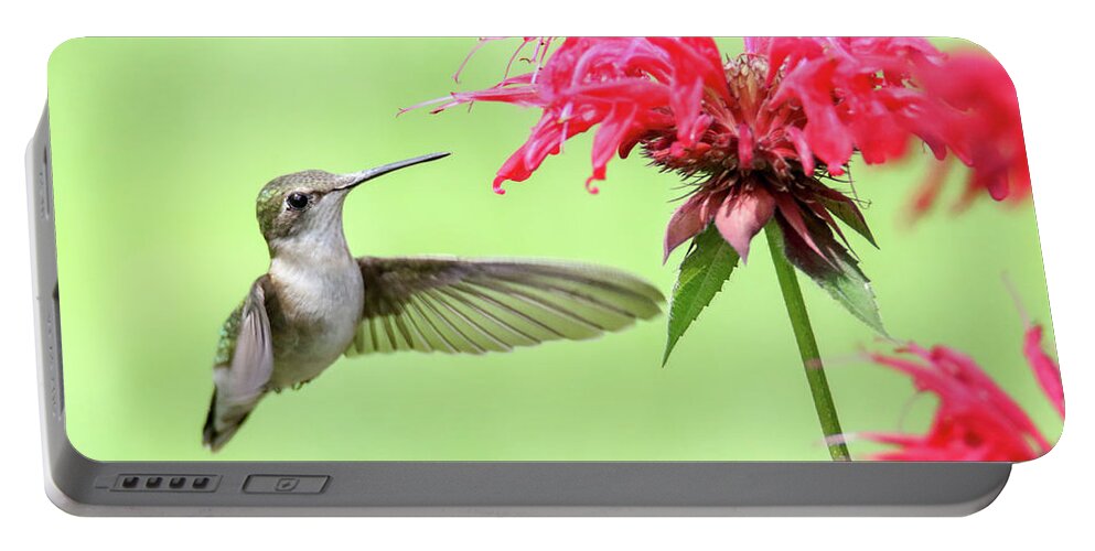 Hummingbird Portable Battery Charger featuring the photograph Hummingbird And Bee Balm 2 by Brook Burling