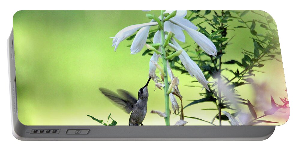 Hummingbird Portable Battery Charger featuring the photograph Hummingbird and Hosta Flowers by Trina Ansel