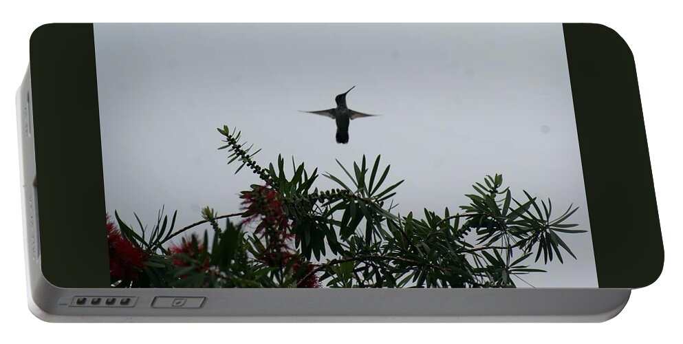 Florida Portable Battery Charger featuring the photograph Hummingbird Blessing by Lindsey Floyd