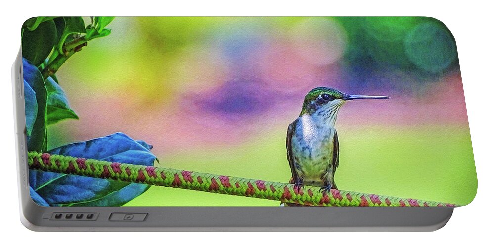 Hummingbird Portable Battery Charger featuring the photograph Hummingbird on Watch by Sue Melvin
