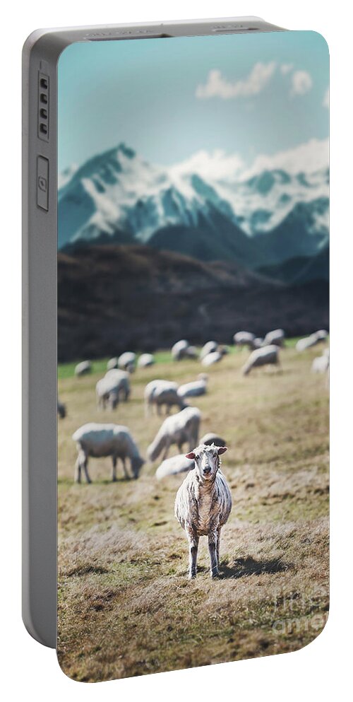 Kremsdorf Portable Battery Charger featuring the photograph I See Ewe by Evelina Kremsdorf