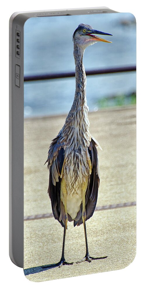 Blue Heron Portable Battery Charger featuring the photograph I should've taken a left turn in Albuquerque... by Michael Frank