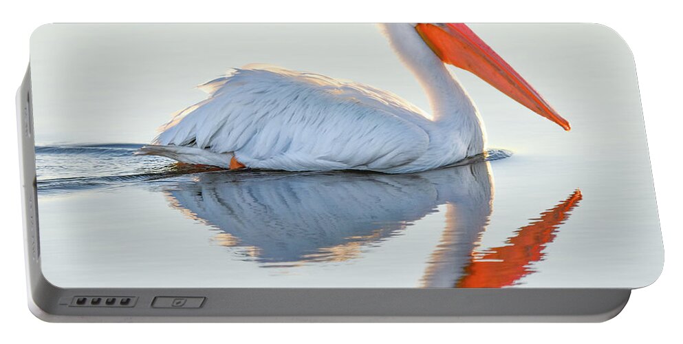 White Pelican Portable Battery Charger featuring the photograph Illuminated Reflections by Christopher Rice