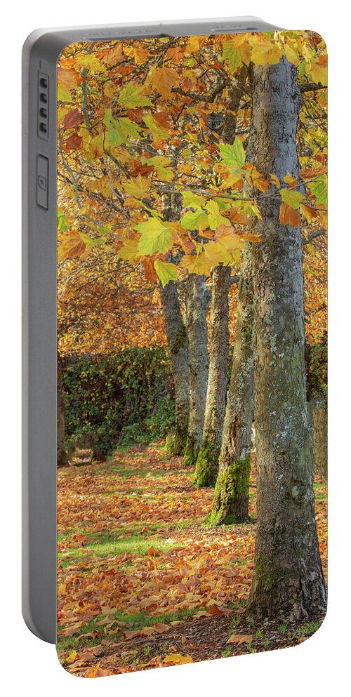 Autumn Portable Battery Charger featuring the photograph In a Row by Bob Cournoyer