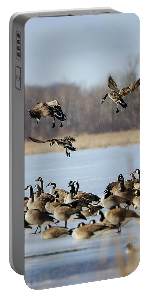 In Coming Portable Battery Charger featuring the photograph In Coming by Susan McMenamin