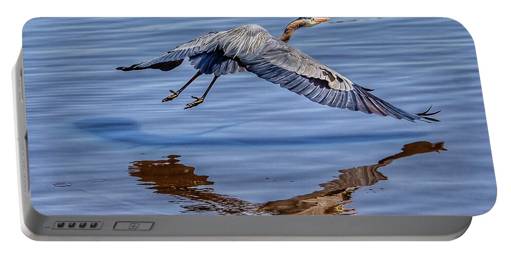 Birds Portable Battery Charger featuring the photograph In Flight Music by Kathi Isserman