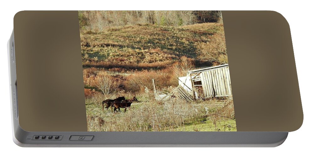 Horses Portable Battery Charger featuring the photograph In The Pasture by Kathy Chism