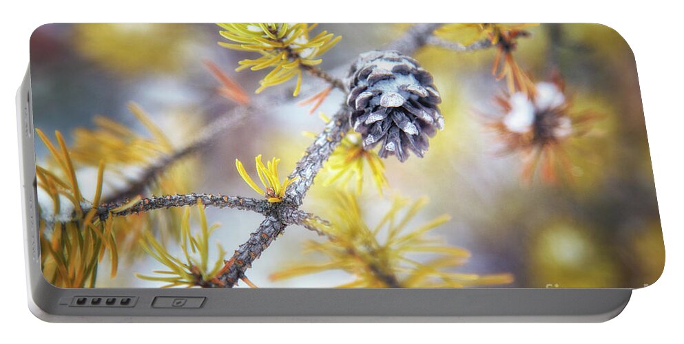 Pine Tree Portable Battery Charger featuring the photograph In the Pines by Becqi Sherman