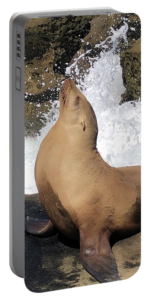 Sea Lion Portable Battery Charger featuring the mixed media In the spotlight by Lauren Serene