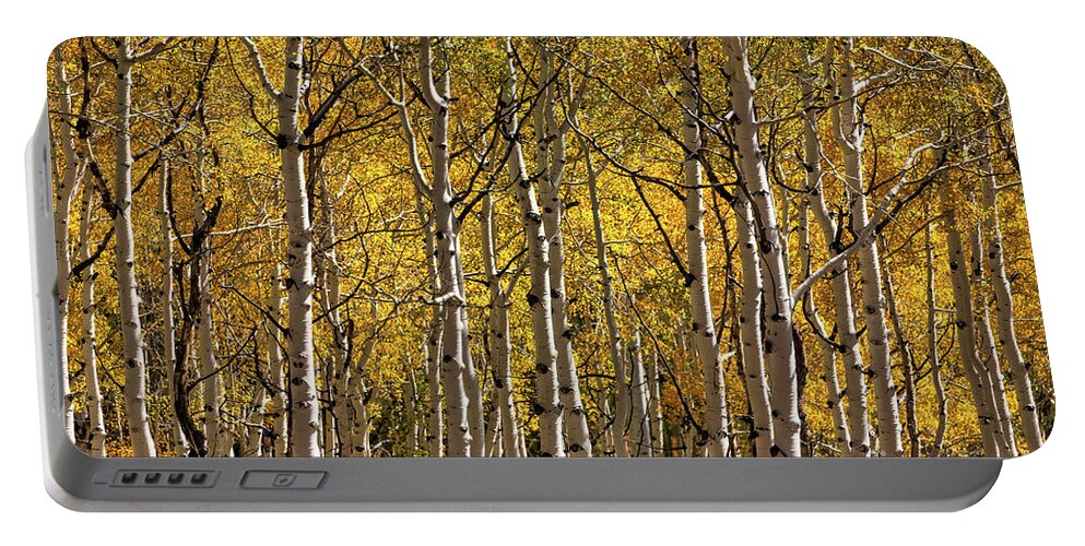 Colorado Portable Battery Charger featuring the photograph In The Thick Of Aspen by Doug Sturgess