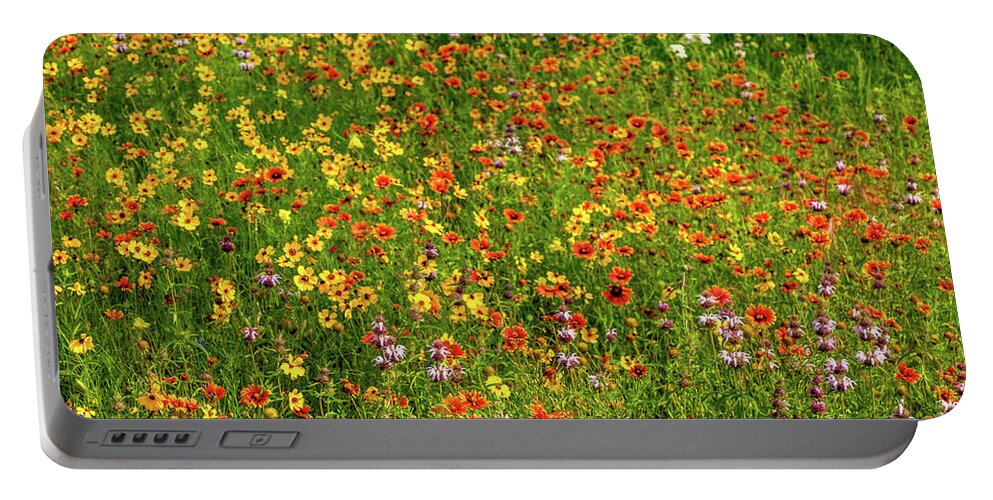 Texas Wildflowers Portable Battery Charger featuring the photograph Indian Blanket Spring by Johnny Boyd