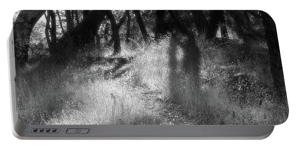 Forest Portable Battery Charger featuring the photograph Indian Valley Upper Reaches by John Parulis