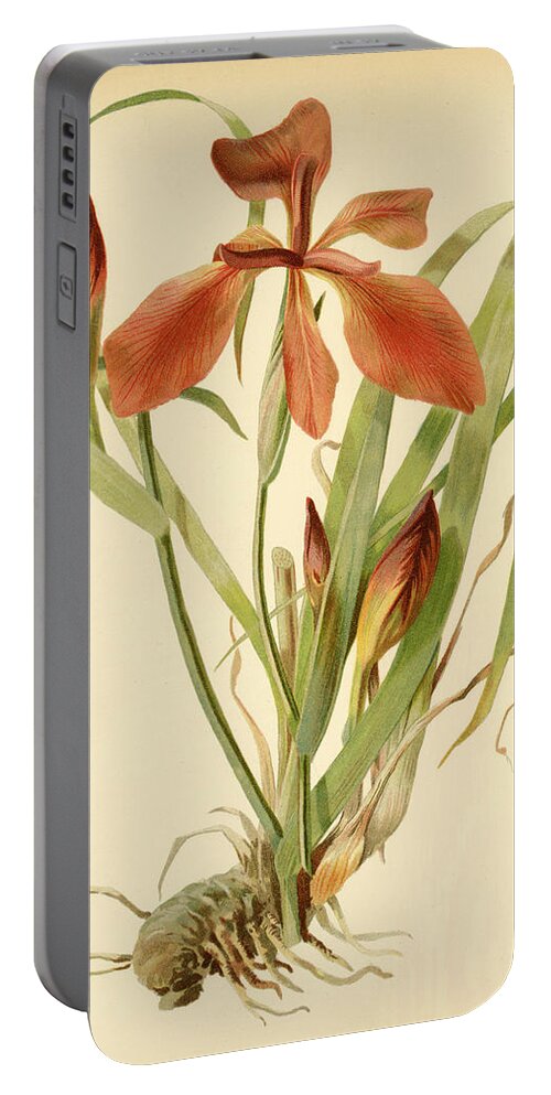 Iris Portable Battery Charger featuring the mixed media Iris Cuprea Copper Iris. by Unknown