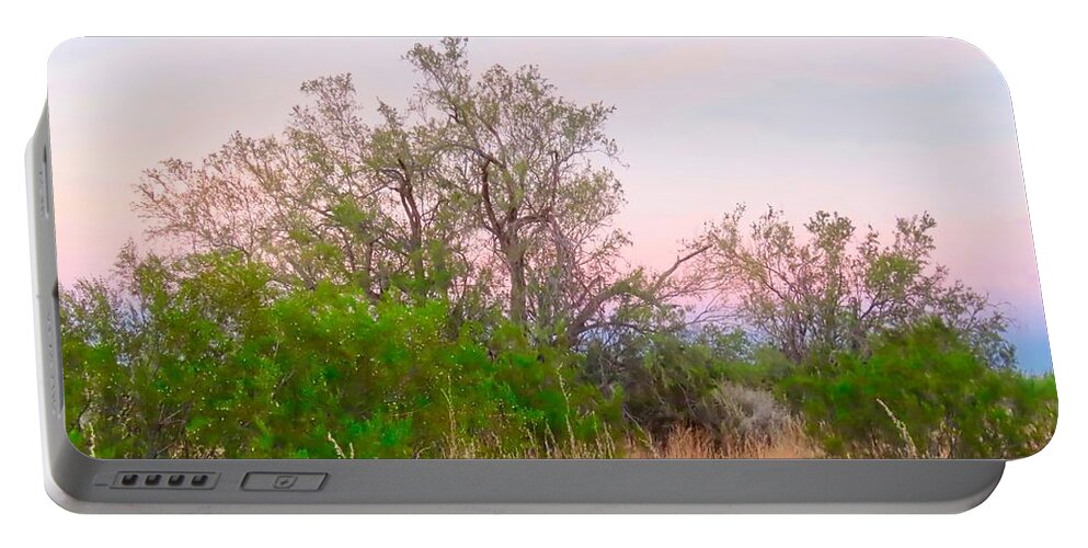 Affordable Portable Battery Charger featuring the photograph Ironwood Trees After Sundown by Judy Kennedy