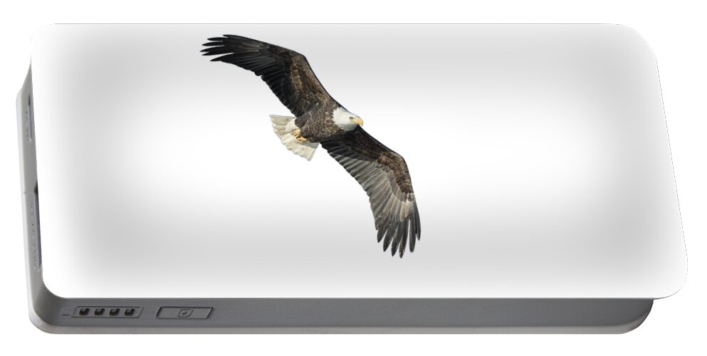Bald Eagle Portable Battery Charger featuring the photograph Isolated Bald Eagle 2018-4 by Thomas Young