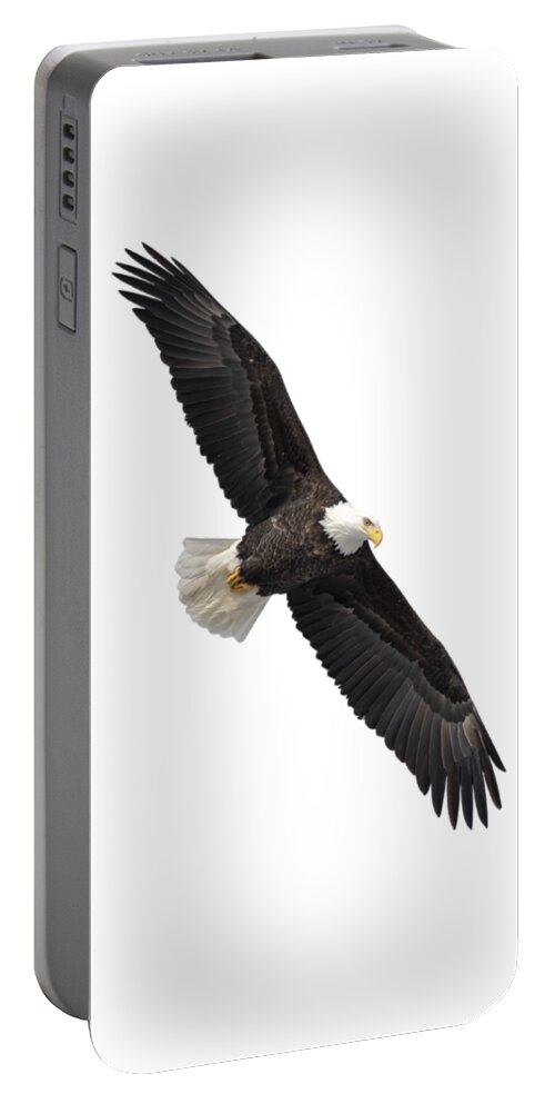 Bald Eagle Portable Battery Charger featuring the photograph Isolated Bald Eagle 2019-1 by Thomas Young