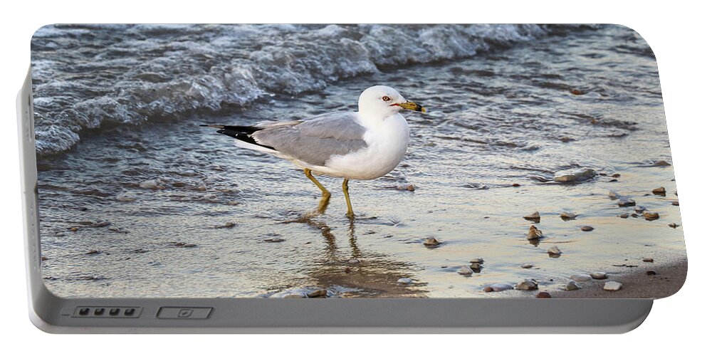 Bird Portable Battery Charger featuring the photograph Isolated by Mary Anne Delgado