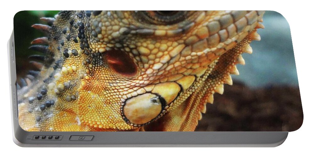 Lizards Portable Battery Charger featuring the photograph Izzy by Bruce IORIO