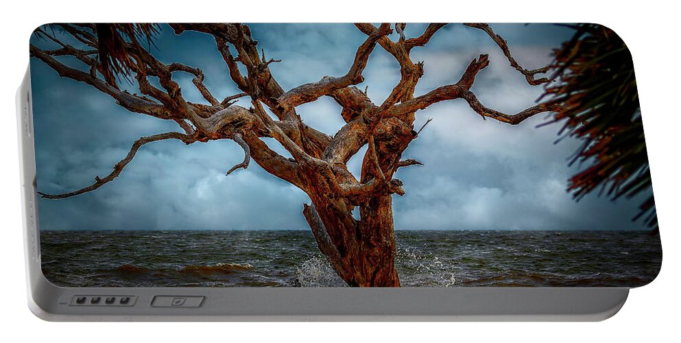 Seascapes Portable Battery Charger featuring the photograph Jekyll's Driftwood Beach at High Tide by DB Hayes