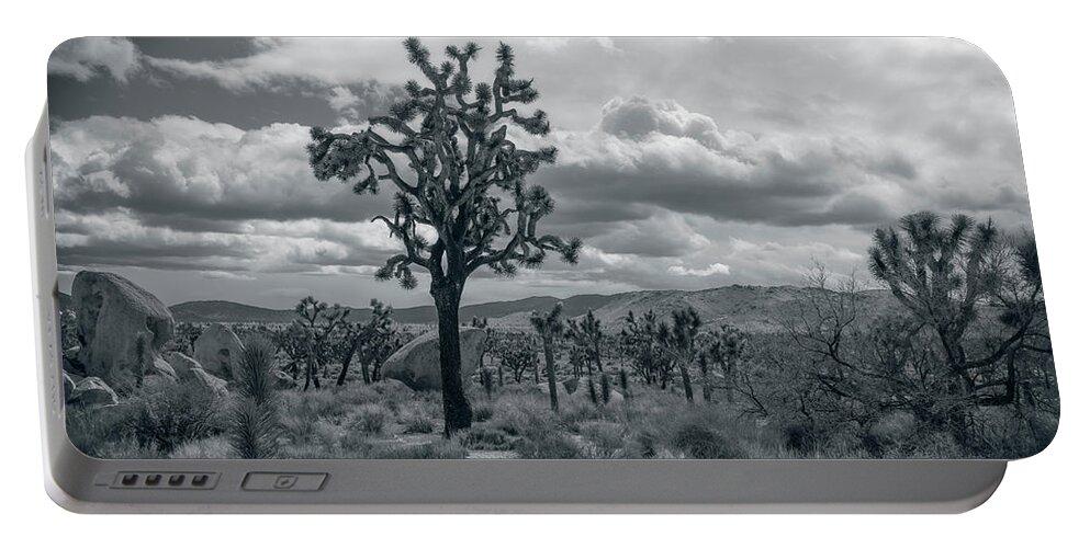 Joshua Tree National Park Portable Battery Charger featuring the photograph Joshua Trees by Sandra Selle Rodriguez