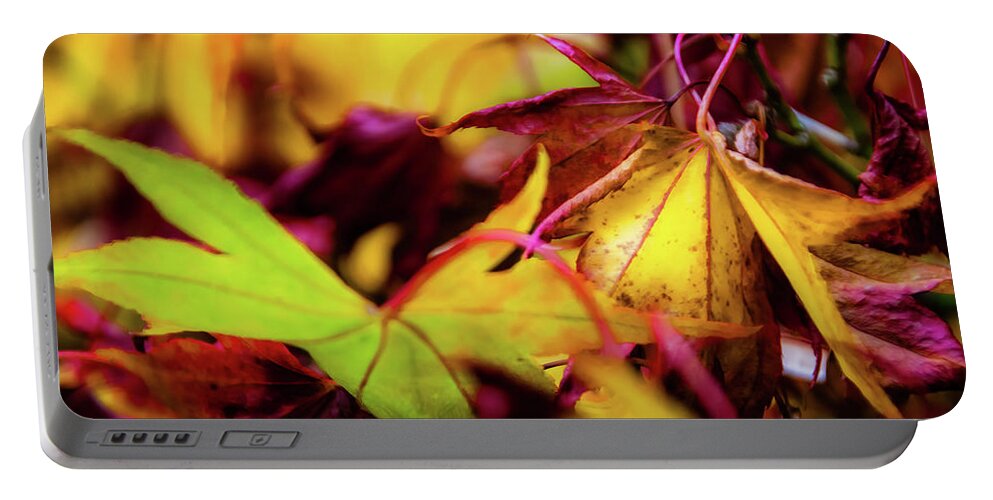 Tree Portable Battery Charger featuring the photograph Joy of Acers - 3 by Christopher Maxum