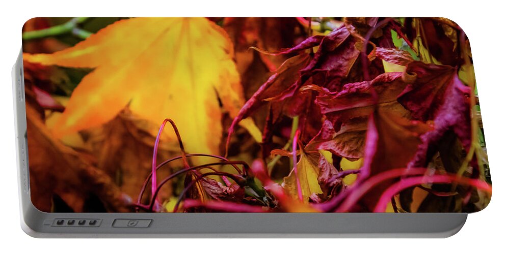 Tree Portable Battery Charger featuring the photograph Joy of Acers - 4 by Christopher Maxum