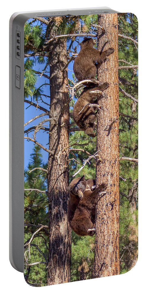  Portable Battery Charger featuring the photograph Jt2l2200 by John T Humphrey