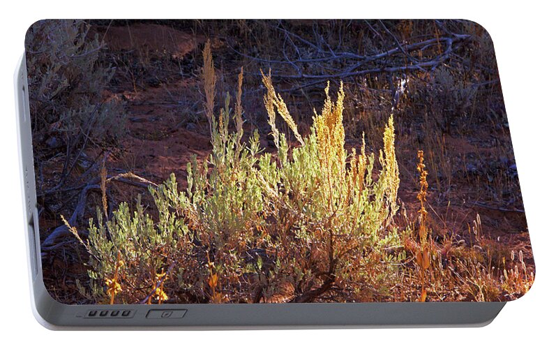 Kanab Coral Sand Dunes Desert Scrub Greens And Yellows Portable Battery Charger featuring the photograph Kanab Coral Sand Dunes desert scrub greens and yellows 6670 by David Frederick