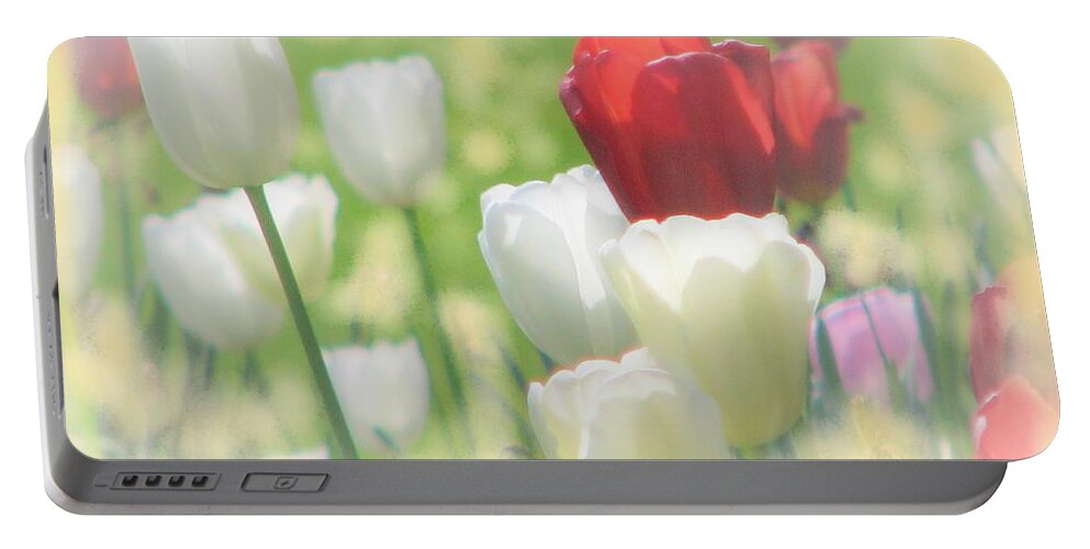Tulip Portable Battery Charger featuring the photograph Kissed By The Sun by Angela Davies