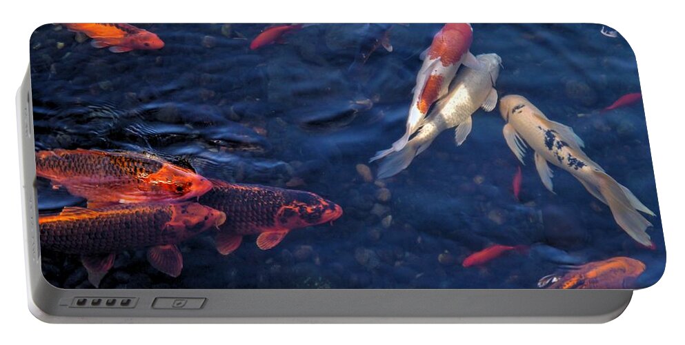 Koi Portable Battery Charger featuring the photograph Koi Group by Peter Mooyman