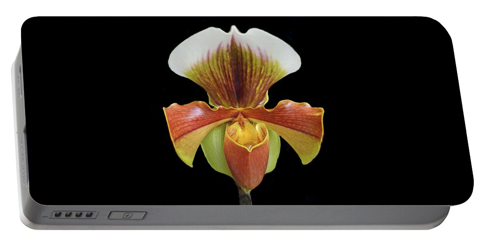 Lady Slipper Portable Battery Charger featuring the photograph Lady Slipper by Terence Davis