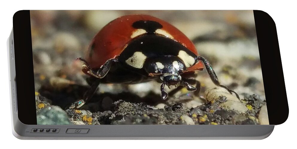 Ladybug Portable Battery Charger featuring the photograph Ladybug Macro Photography by Delynn Addams