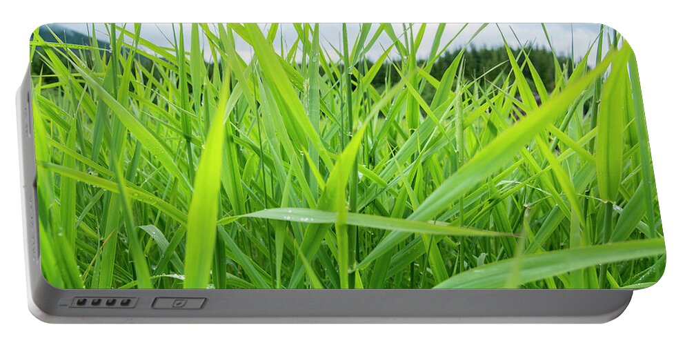 Alpine Portable Battery Charger featuring the photograph Lake Grass 2 by Pelo Blanco Photo