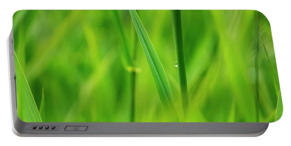 Alpine Portable Battery Charger featuring the photograph Lake Grass Raindrop 2 by Pelo Blanco Photo
