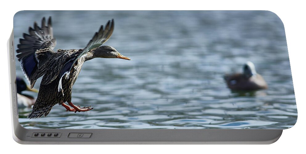 Ducks Portable Battery Charger featuring the photograph Landing Gear Ready by Robert WK Clark
