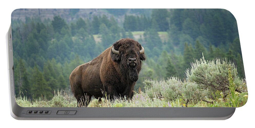 Buffalo Portable Battery Charger featuring the photograph Large and In Charge by Eilish Palmer