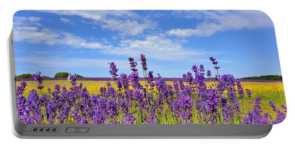 Wildflowers Portable Battery Charger featuring the photograph Lavender and Yellow Wildflowers by Andrea Whitaker
