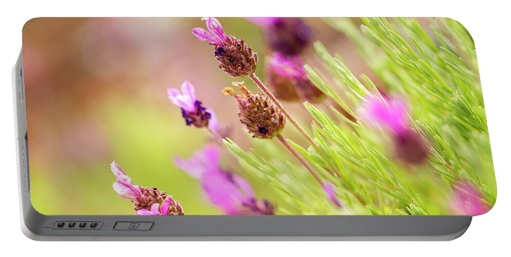 Lavender Portable Battery Charger featuring the photograph Lavender Beauty by Tanya C Smith