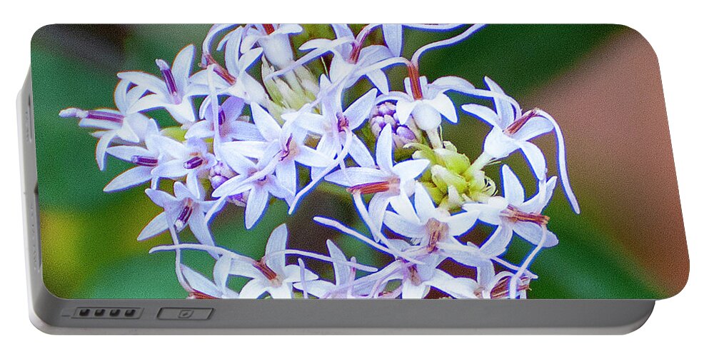Lavender Color Flower Portable Battery Charger featuring the digital art Lavender Essence by Gene Bollig